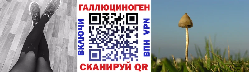 Псилоцибиновые грибы мухоморы  Купить  Апатиты 